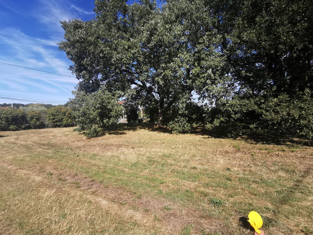 Vente Terrain Terrain constructible Aussonne