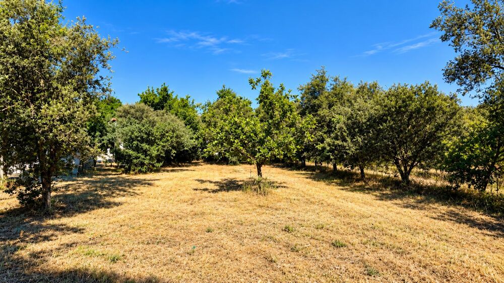 Vente Terrain Terrain constructible Carpentras