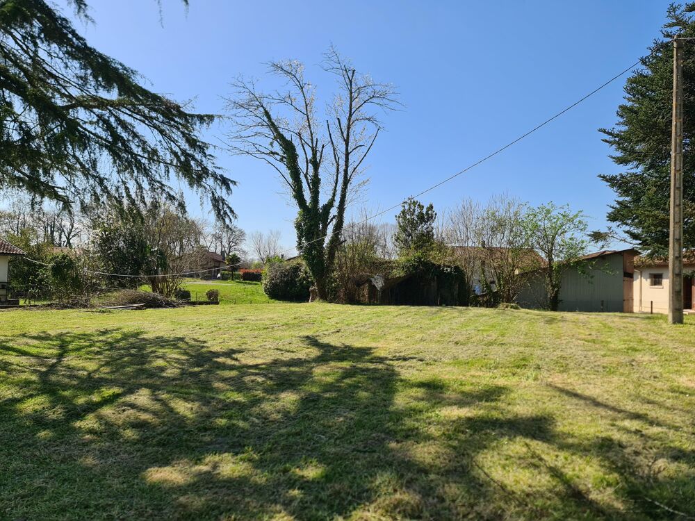 Vente Terrain Terrain constructible Saint-martin-de-hinx