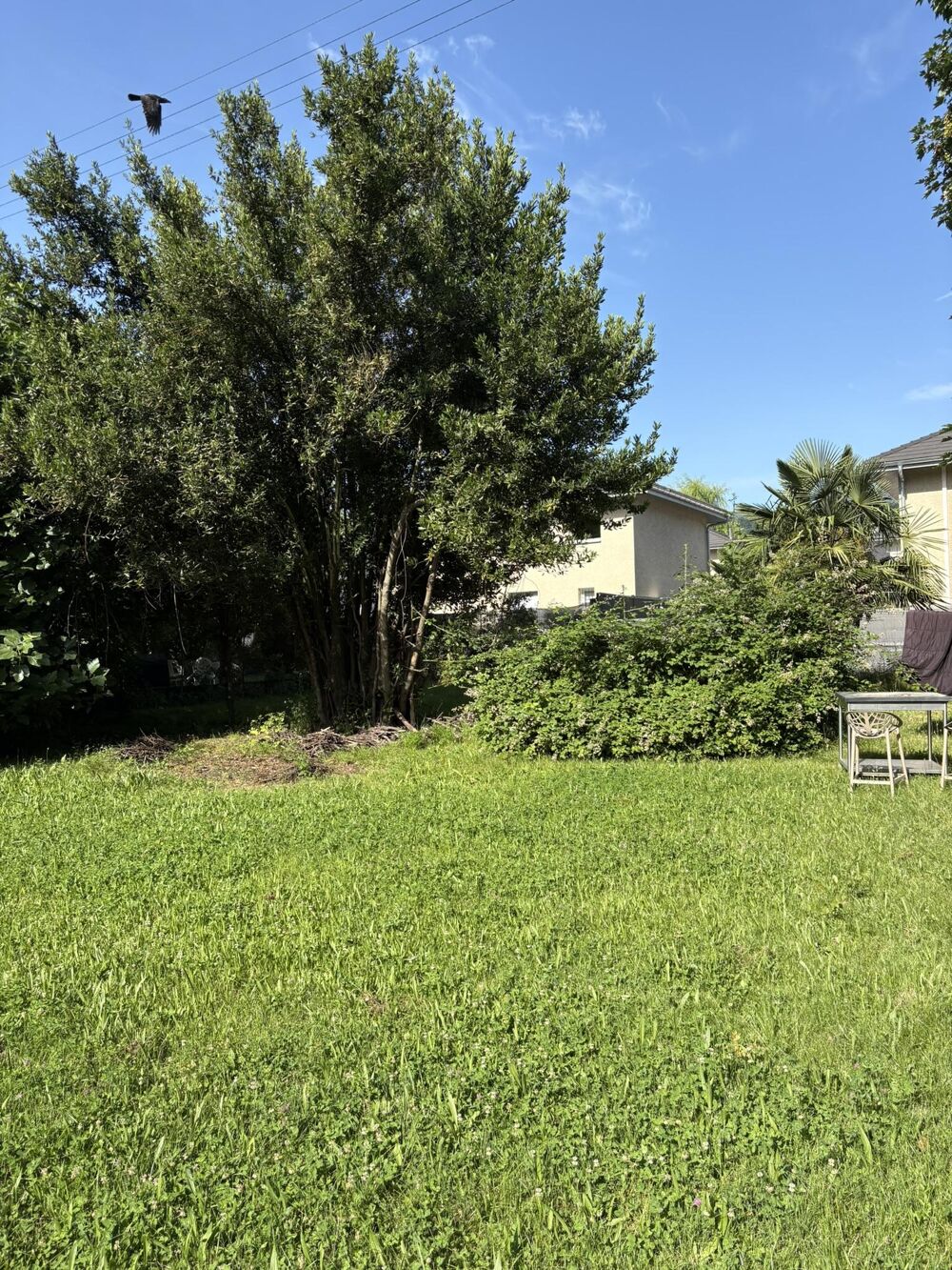 Vente Terrain Terrain constructible Cognin