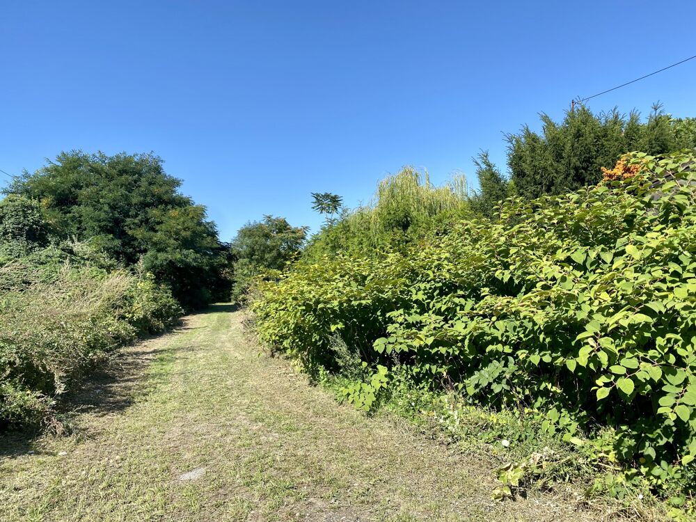 Vente Terrain Vente murs pro  à Villejuif Villejuif