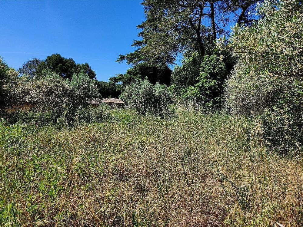 Vente Terrain Terrain constructible Cassagnoles
