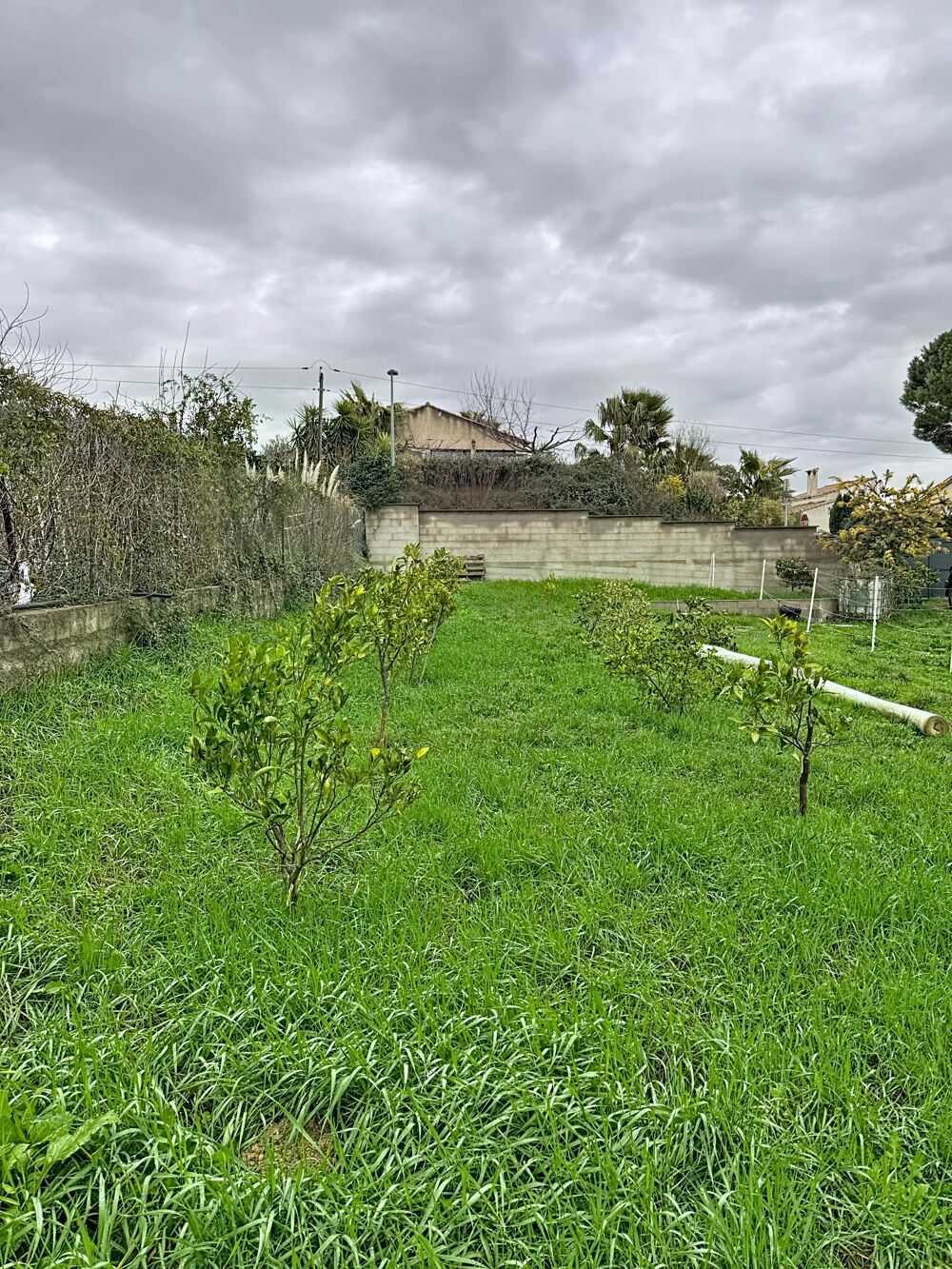 Vente Terrain Terrain constructible Autignac