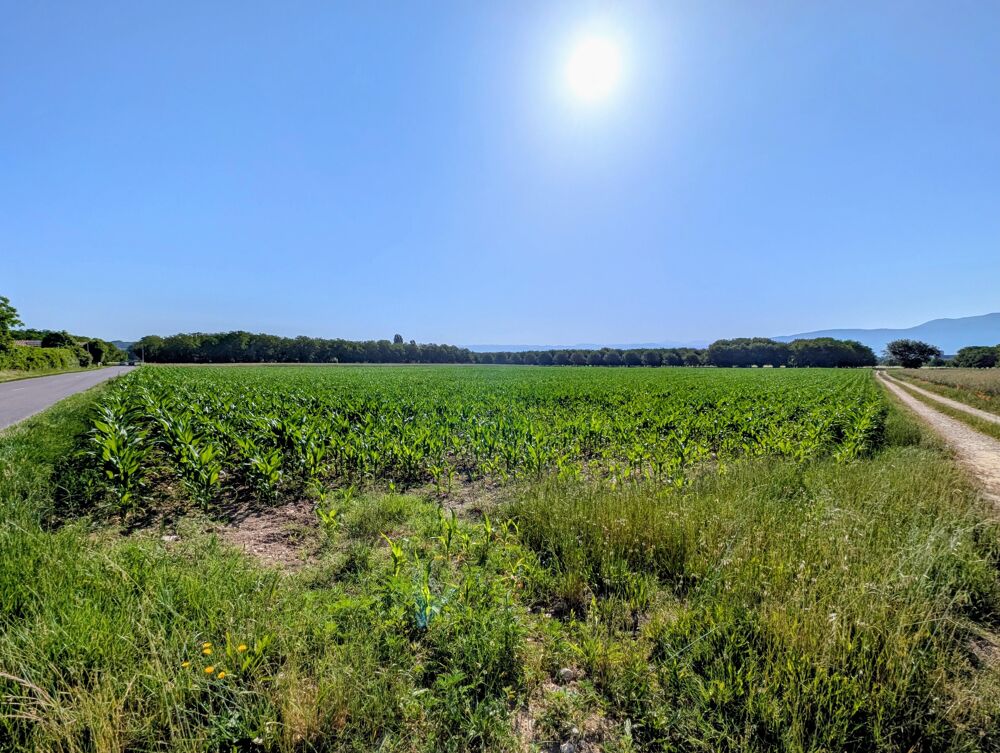 Vente Terrain Terrain agricole Châtillon-saint-jean