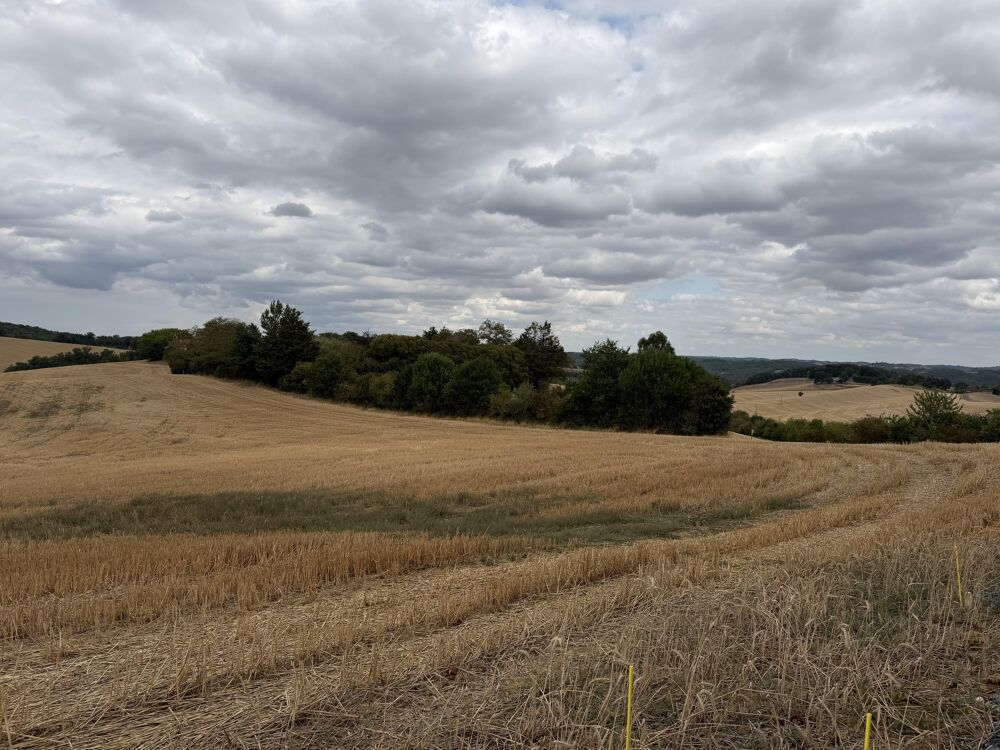 Vente Terrain Terrain constructible Labéjan