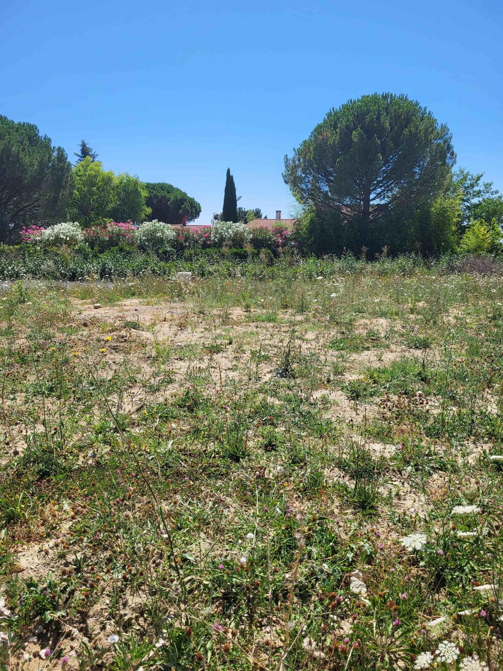 Vente Terrain Terrain constructible Escalquens
