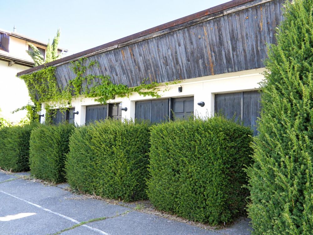 Studio 1 pièce