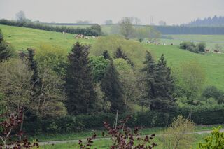  Terrain � vendre  Fontan�s