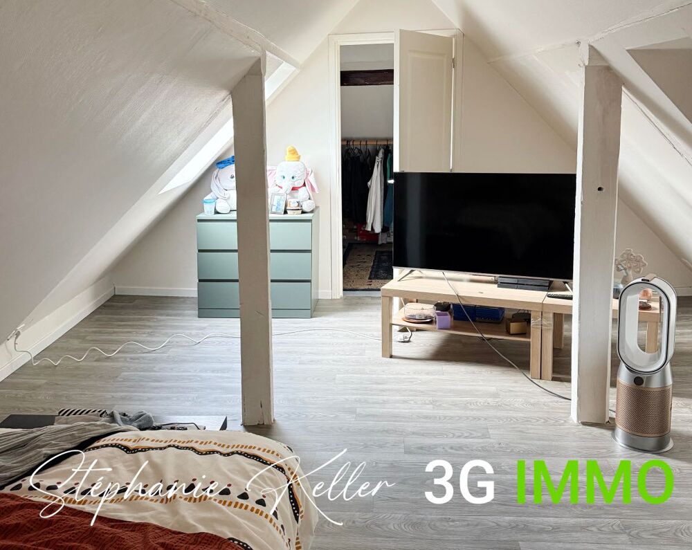Vente Immeuble Immeuble 7 pices Slestat