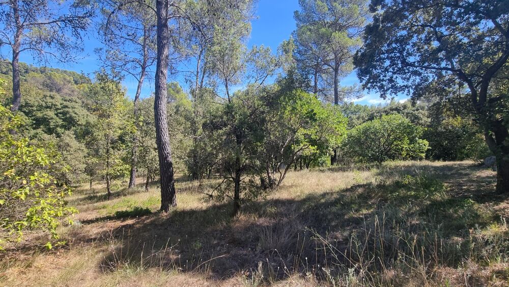 Vente Terrain Terrain constructible Saint-mathieu-de-tréviers