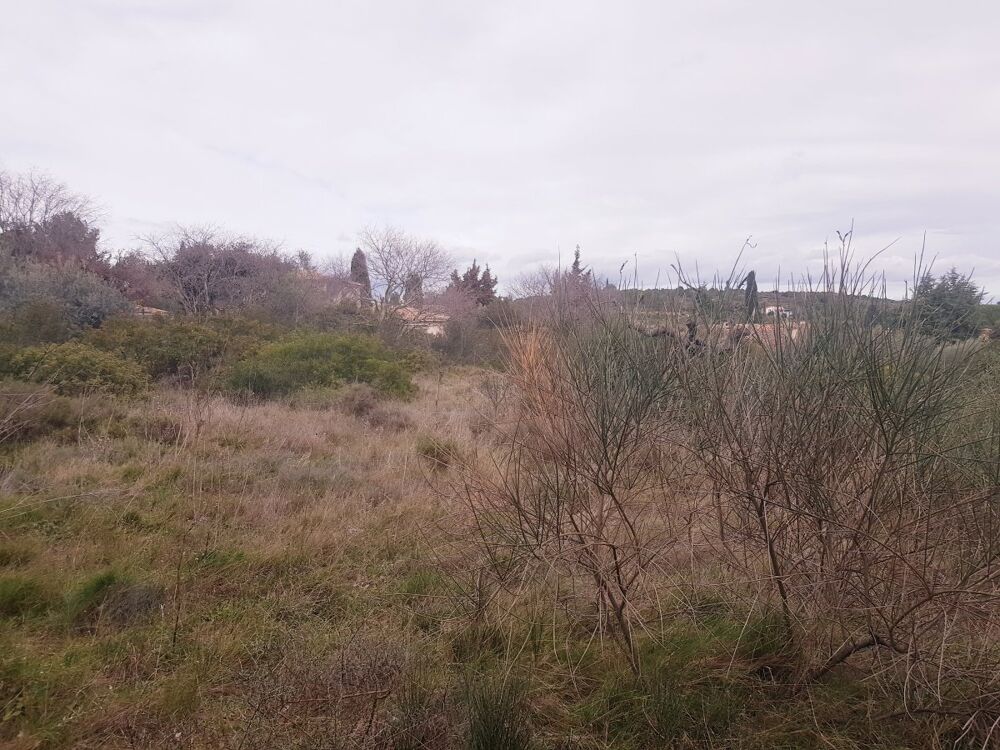 Vente Terrain Terrain constructible Pignan