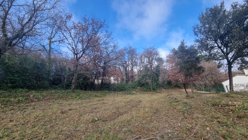 Vente Terrain Terrain constructible Saint-hippolyte-de-caton