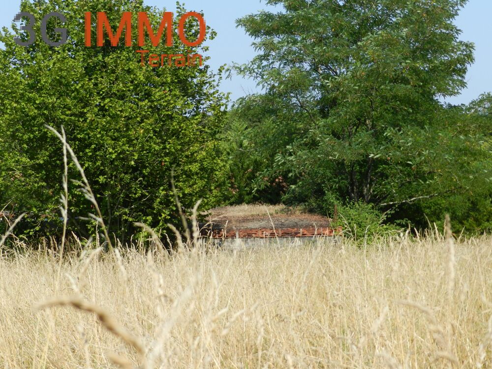 Vente Terrain Terrain constructible Gabarret