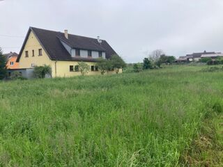  Terrain  vendre 1145 m Pfaffenheim