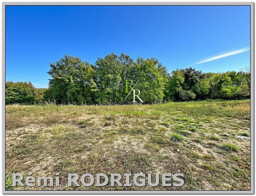 Vente Terrain Terrain constructible Sauvagnon