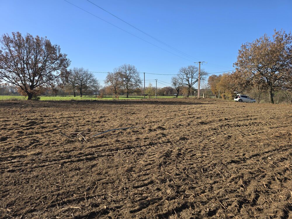 Vente Terrain Terrain constructible Cambounet-sur-le-sor