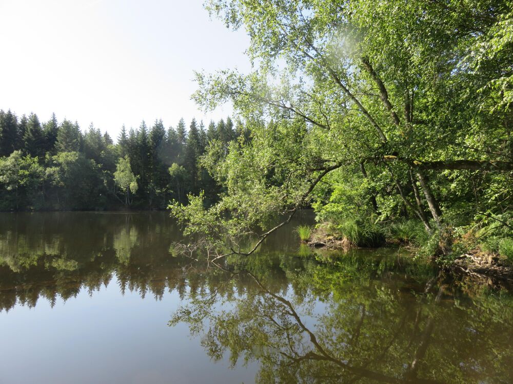 Vente Terrain Terrain de loisirs Servance-miellin