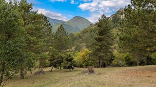  Terrain à vendre 15410 m²