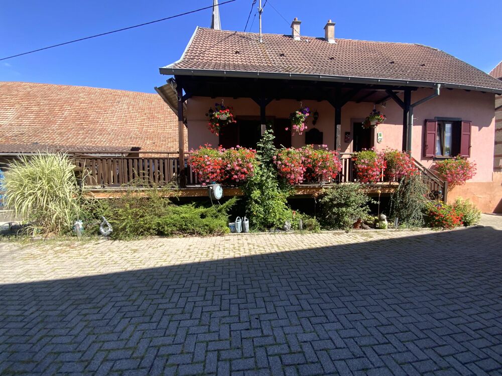 Vente Maison Maison et grand terrain 5 pièces Mussig