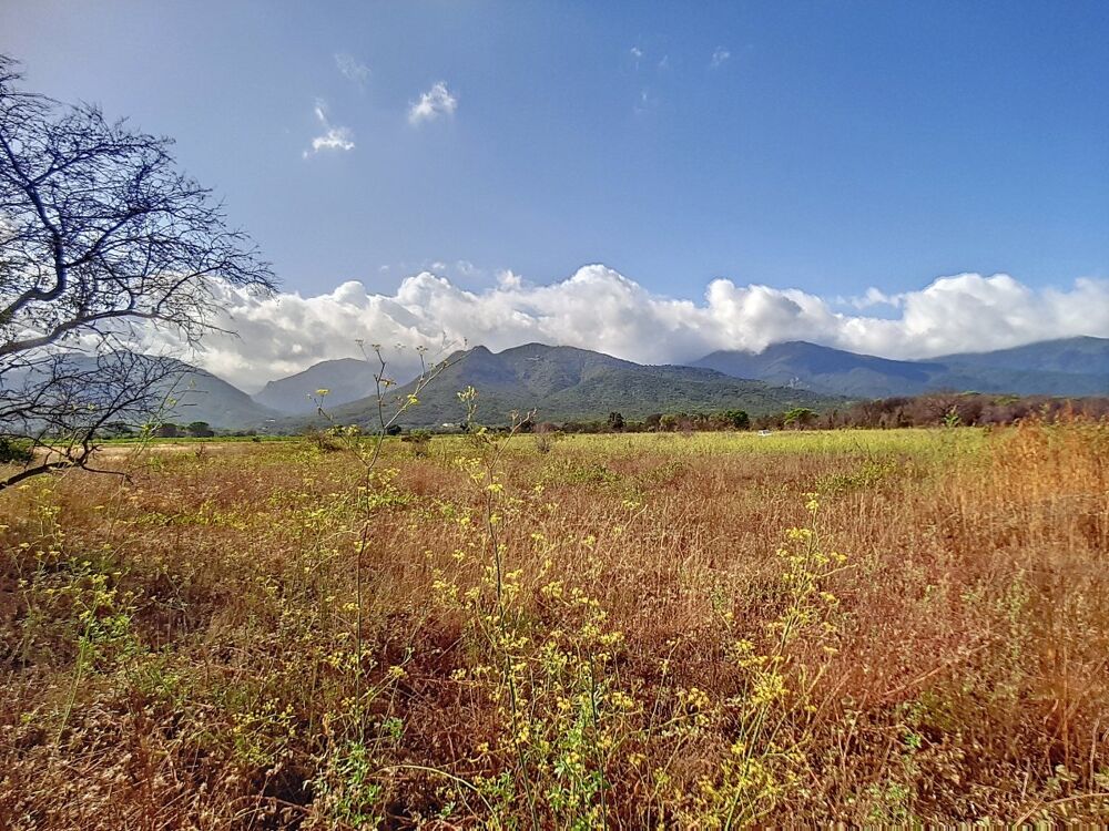 Vente Terrain Terrain agricole Saint-andré