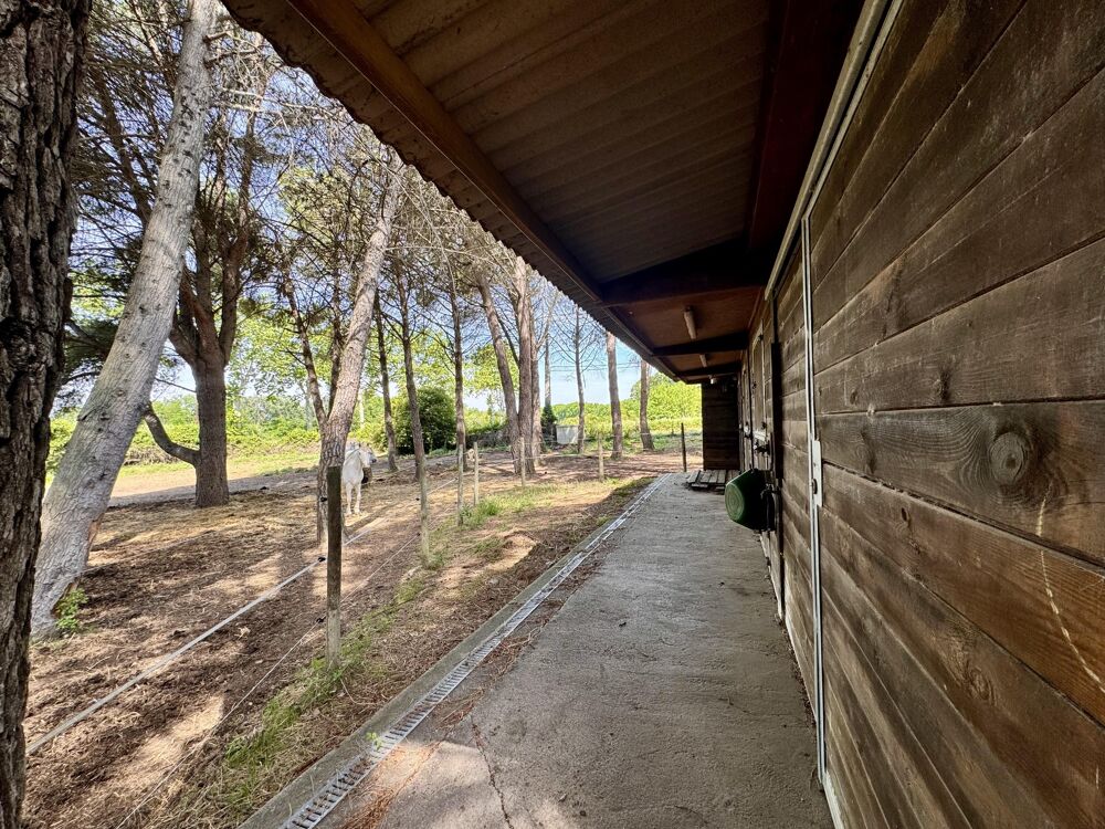 à vendre  Maison Béziers (34500)