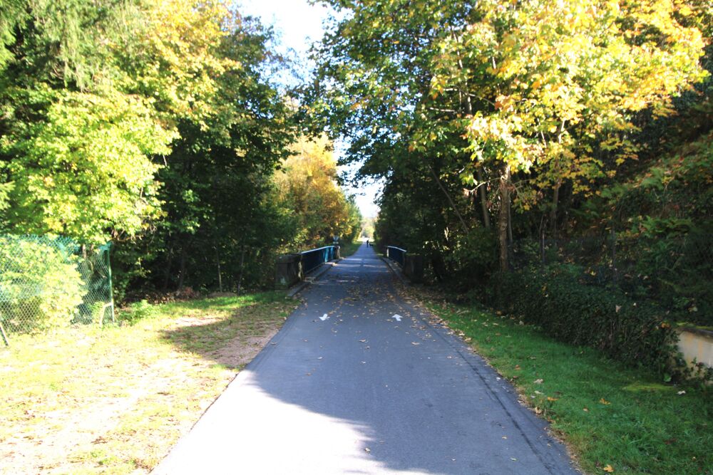 Vente Maison Maison de village 4 pi�ces Saint-maurice-sur-moselle