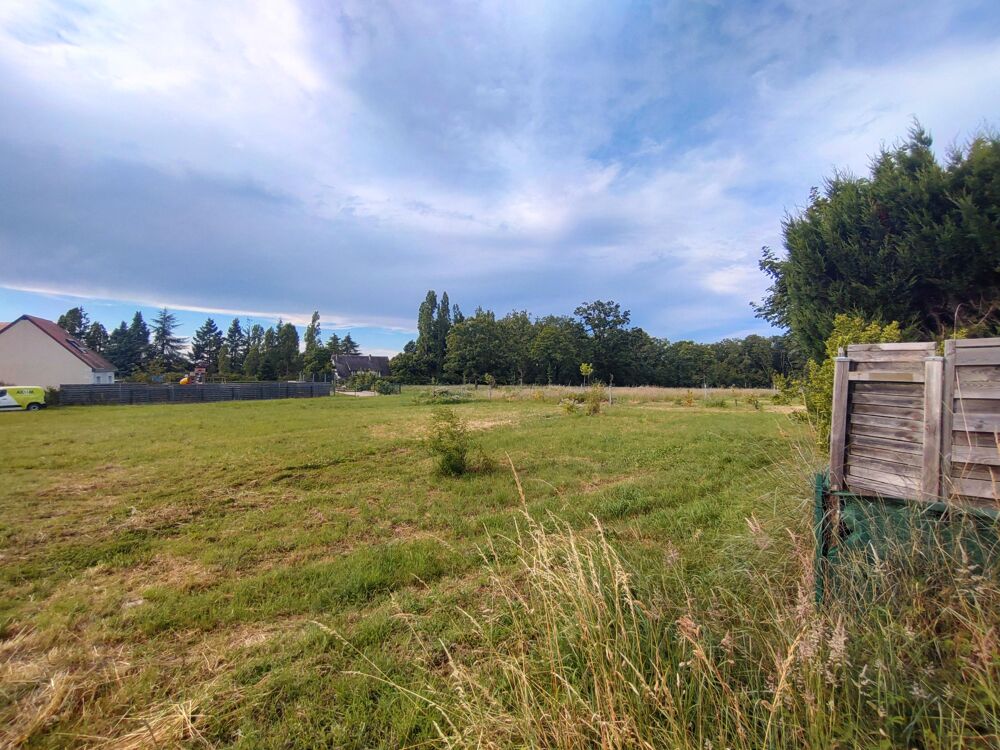 Vente Terrain Terrain constructible Chaumont-sur-loire