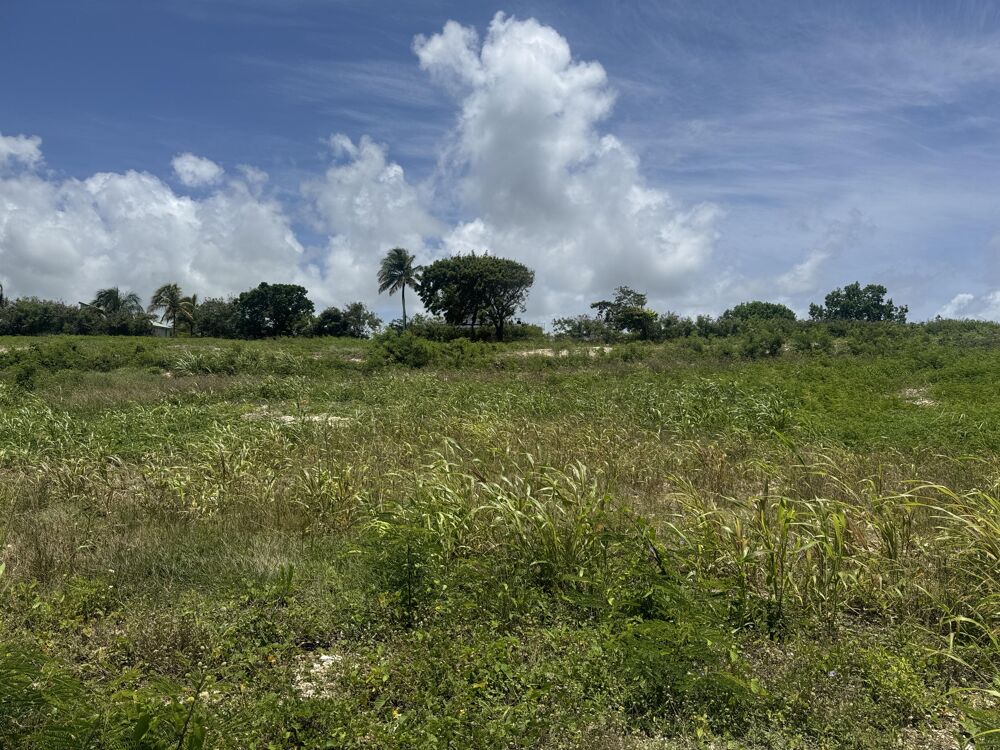 Vente Terrain Terrain constructible Petit-canal
