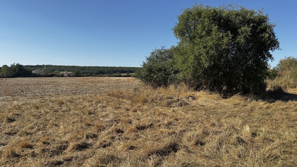 Vente Terrain Terrain Pibrac