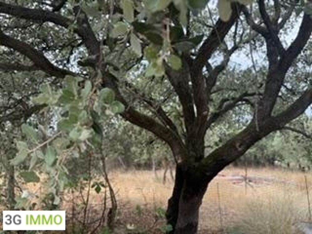 Vente Maison Propriété équestre 3 pièces Maussane-les-alpilles
