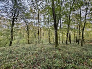  Terrain à vendre 82016 m²