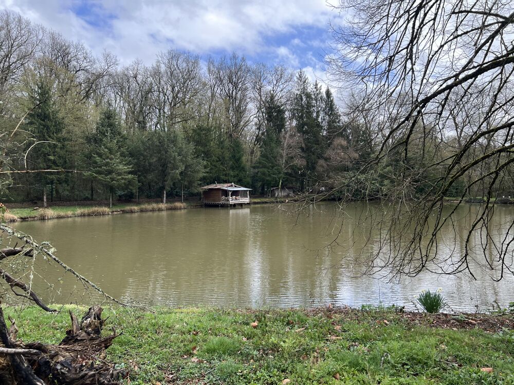 Vente Terrain Terrain de loisirs Saint-maurice-des-lions