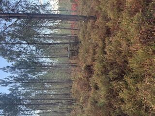  Terrain � vendre 40400 m�