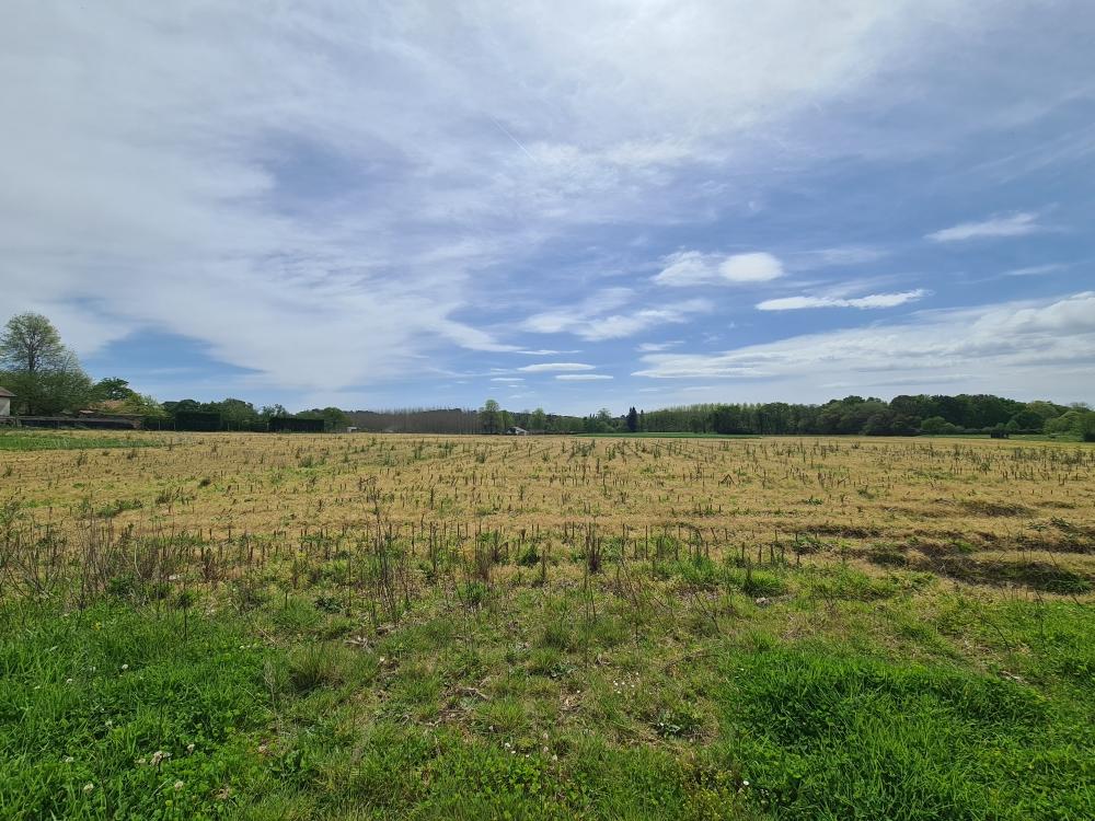 Vente Terrain Terrain constructible Sainte-marie-de-gosse