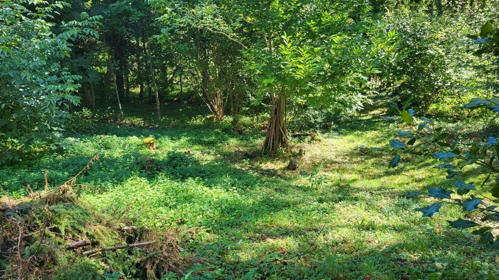Vente Terrain Terrain Queige