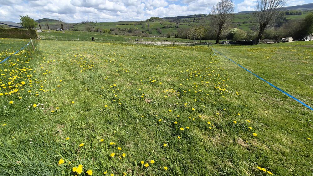 Vente Terrain Terrain constructible Rochefort-montagne