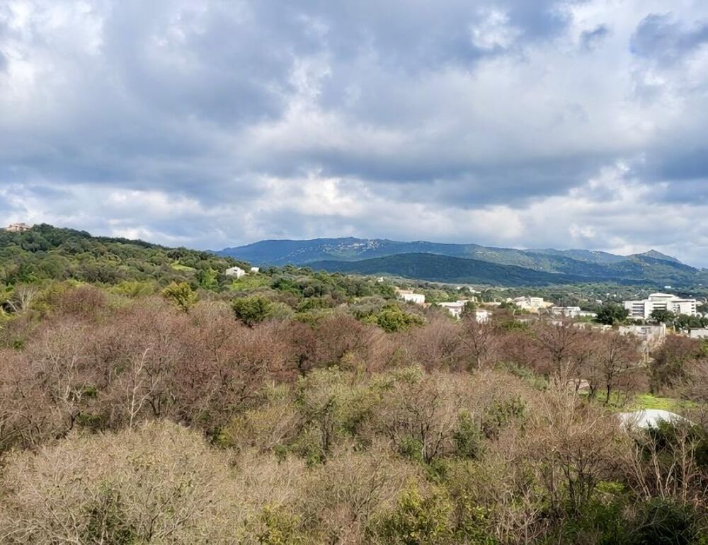 Vente Appartement Appartement 4 pièces Ajaccio