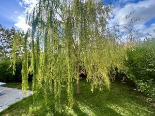  Maison � vendre 4 pi�ces 