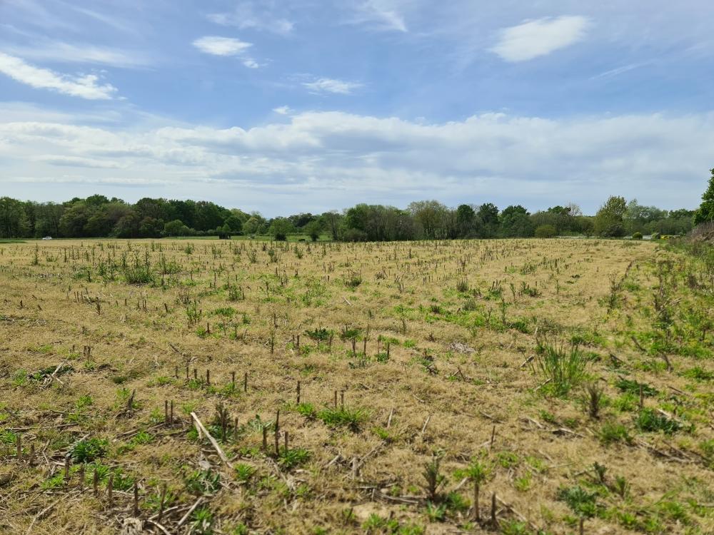 Vente Terrain Terrain constructible Sainte-marie-de-gosse
