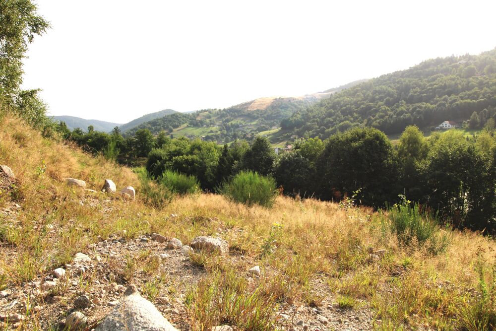 Vente Terrain Terrain constructible Bussang