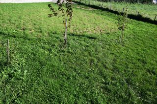  Terrain � vendre 496 m�