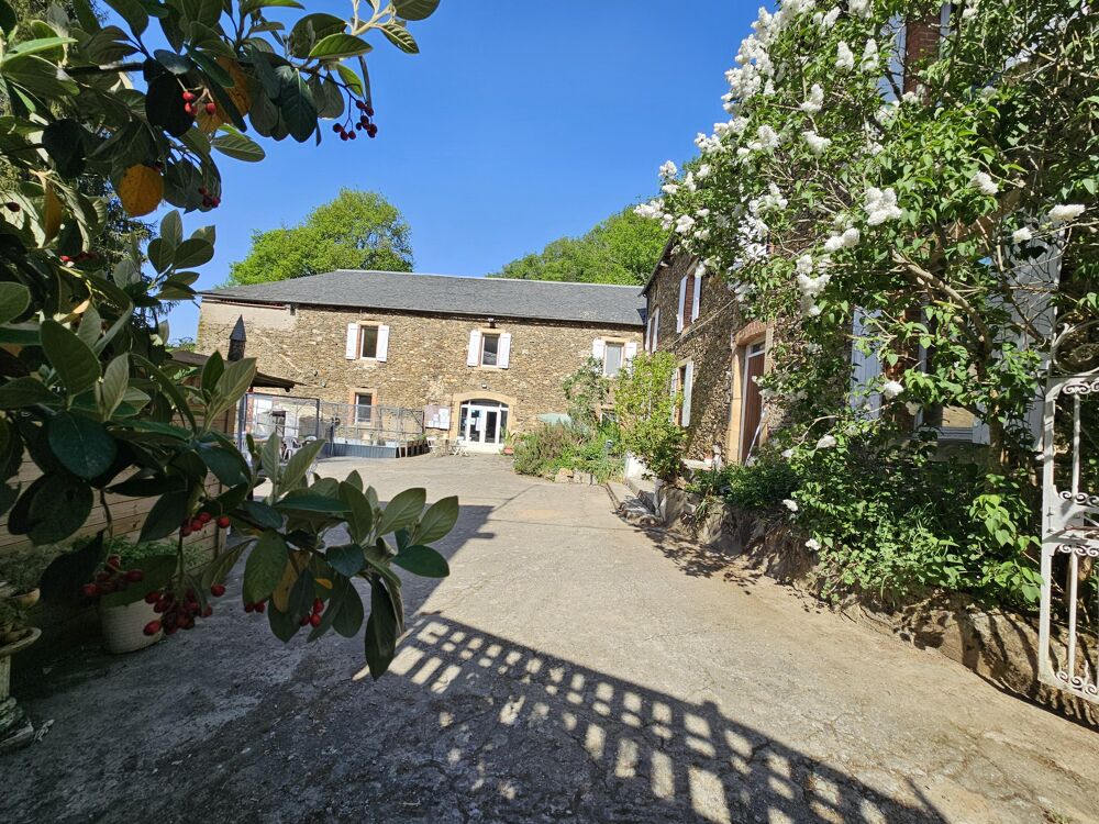 à vendre  Propriété/château Le Dourn (81340)