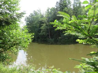  Terrain � vendre 4560 m�