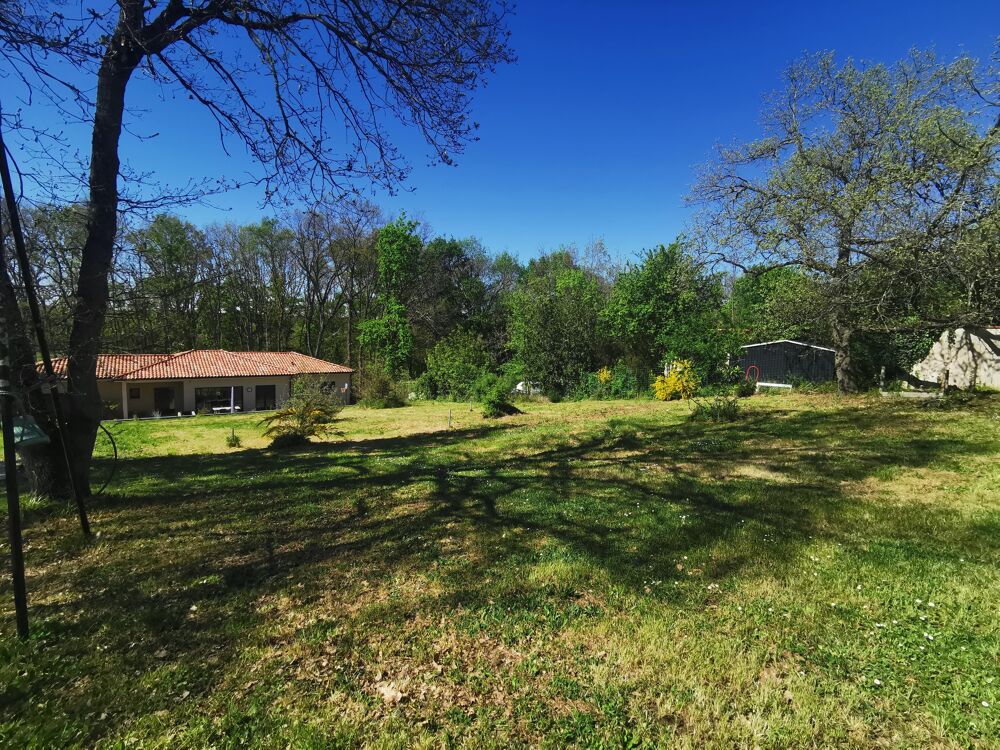 Vente Terrain Terrain constructible La salvetat-saint-gilles