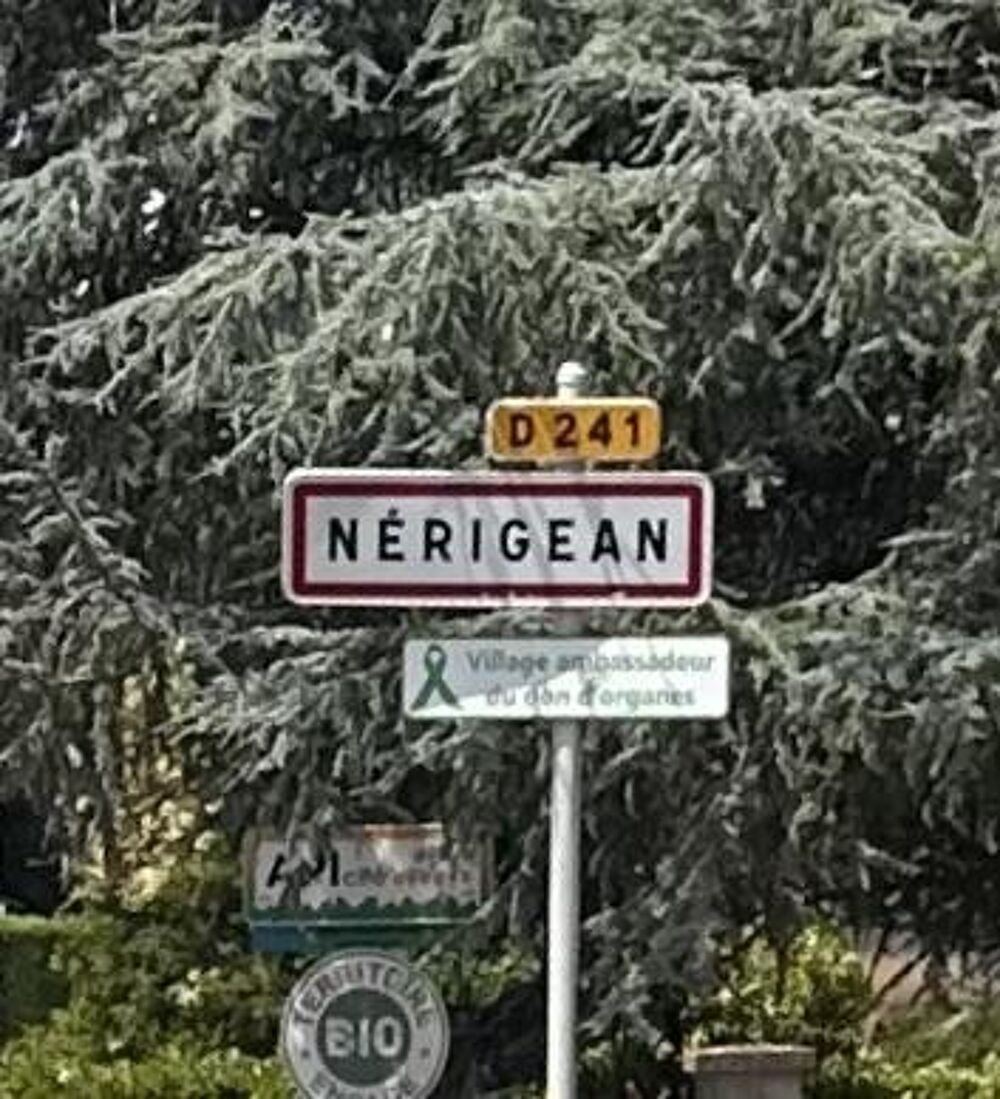 Vente Maison Maison en pierre 7 pièces Nérigean
