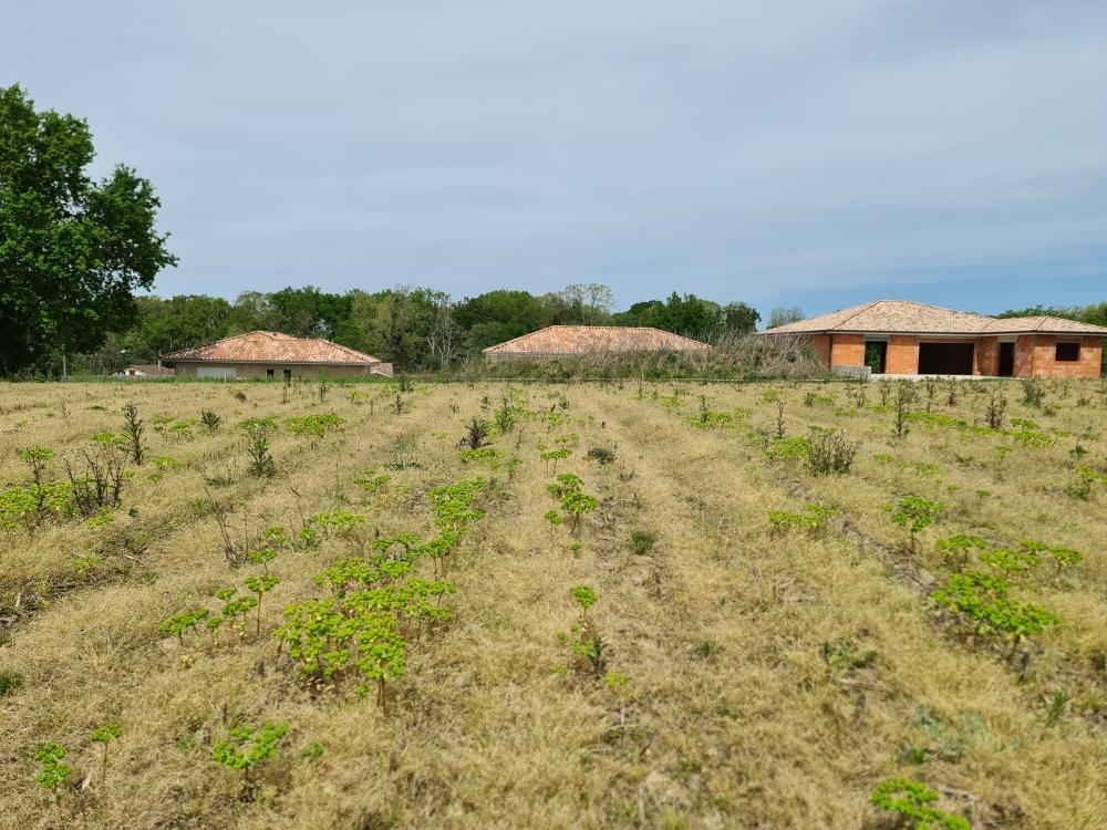 Vente Terrain Terrain constructible Sainte-marie-de-gosse
