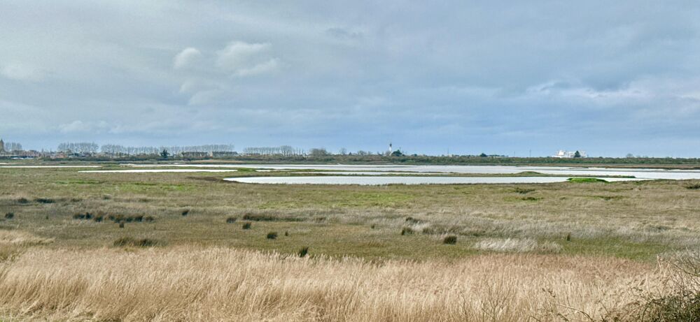 � vendre  Maison Sallenelles (14121)