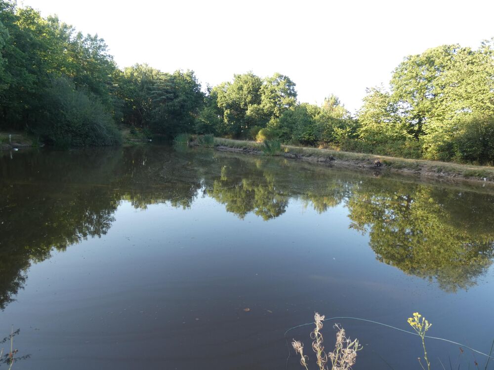 Vente Terrain Terrain de loisirs Nuill�-le-jalais