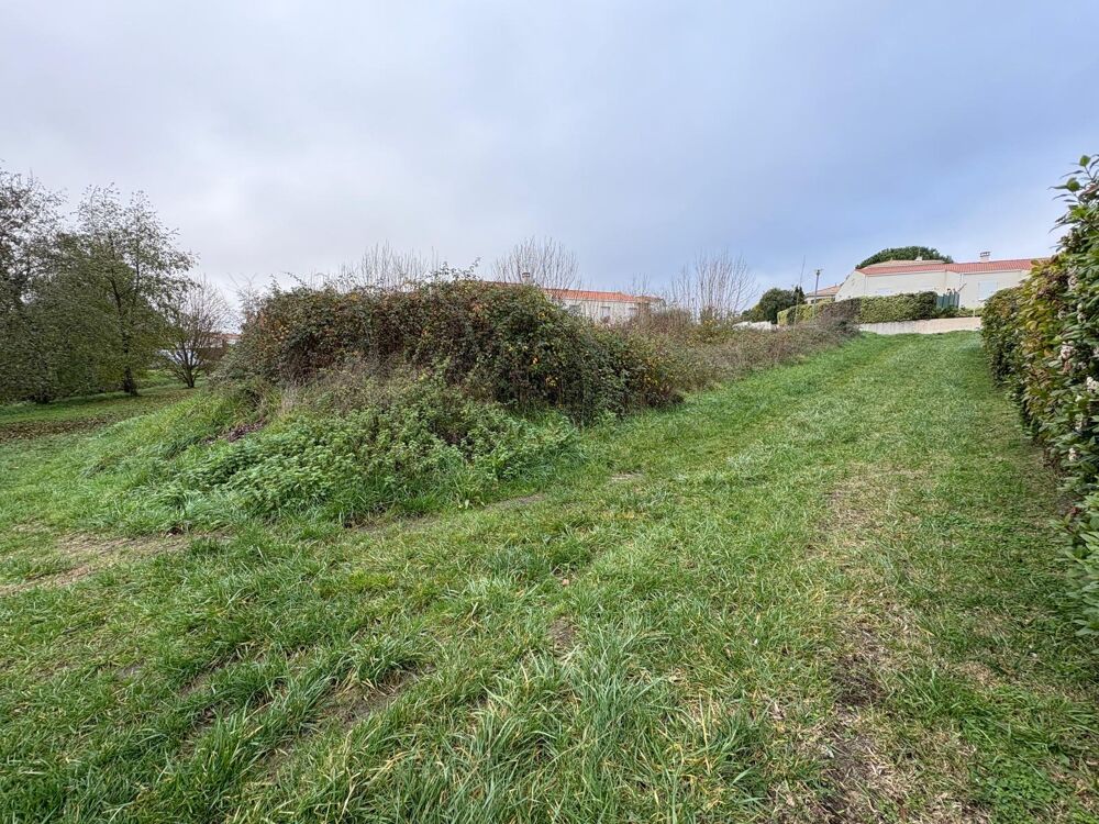 Vente Terrain Terrain constructible Royan