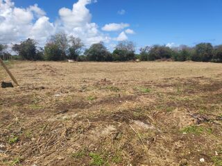  Terrain � vendre 4308 m�